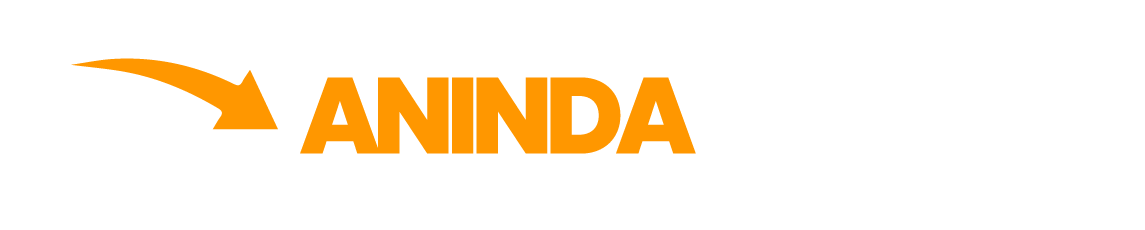 Anında Havale